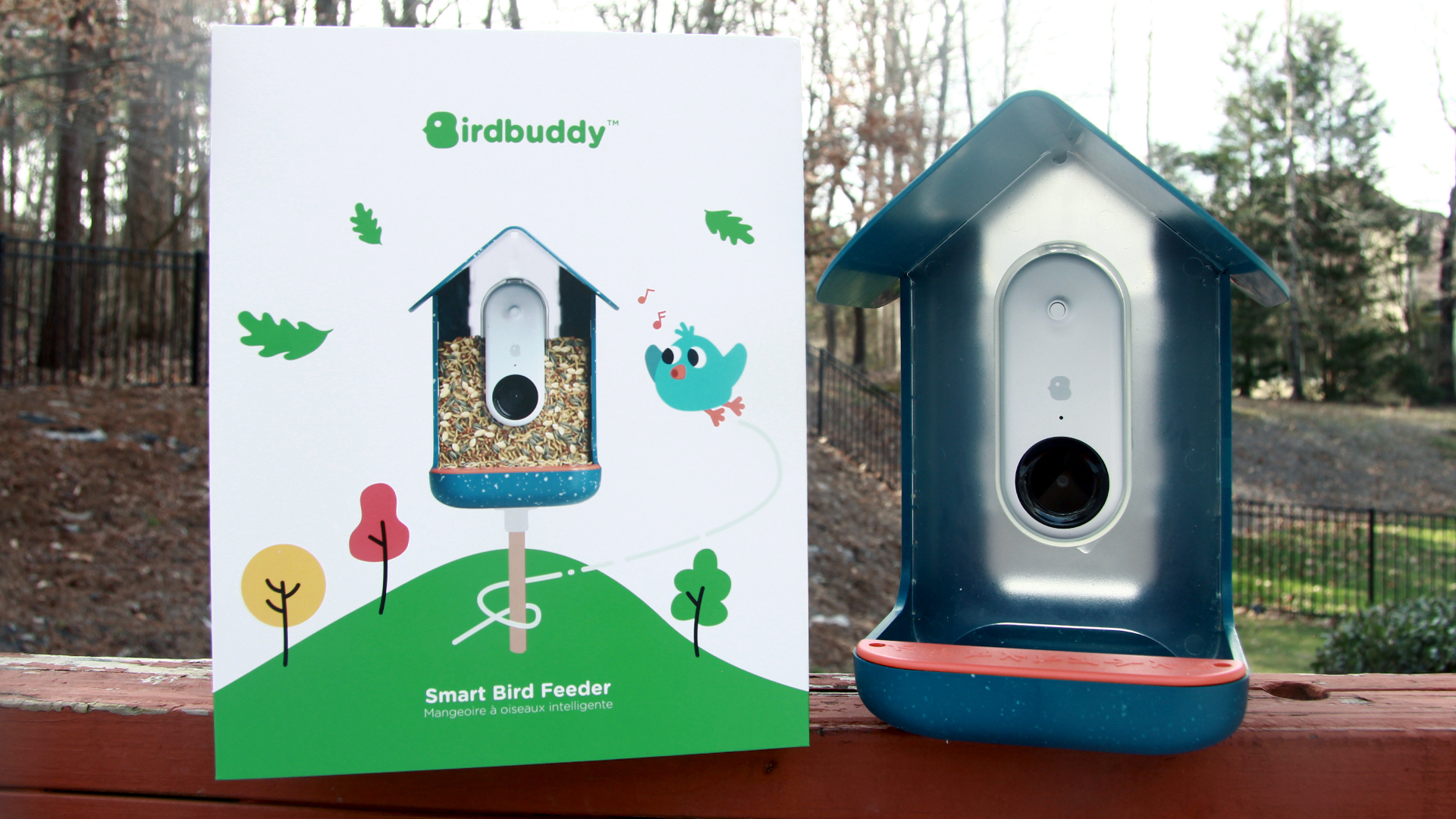 The backyard birdcam you didn't know you needed is still $60