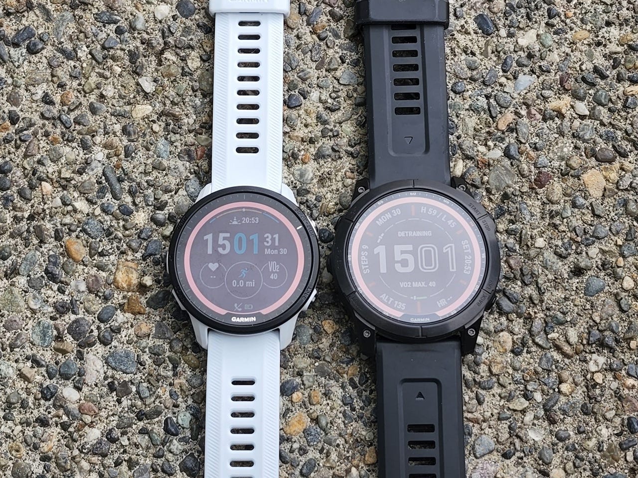 Gear Review: Garmin Forerunner 955 Solar - Dirty Old Sneakers
