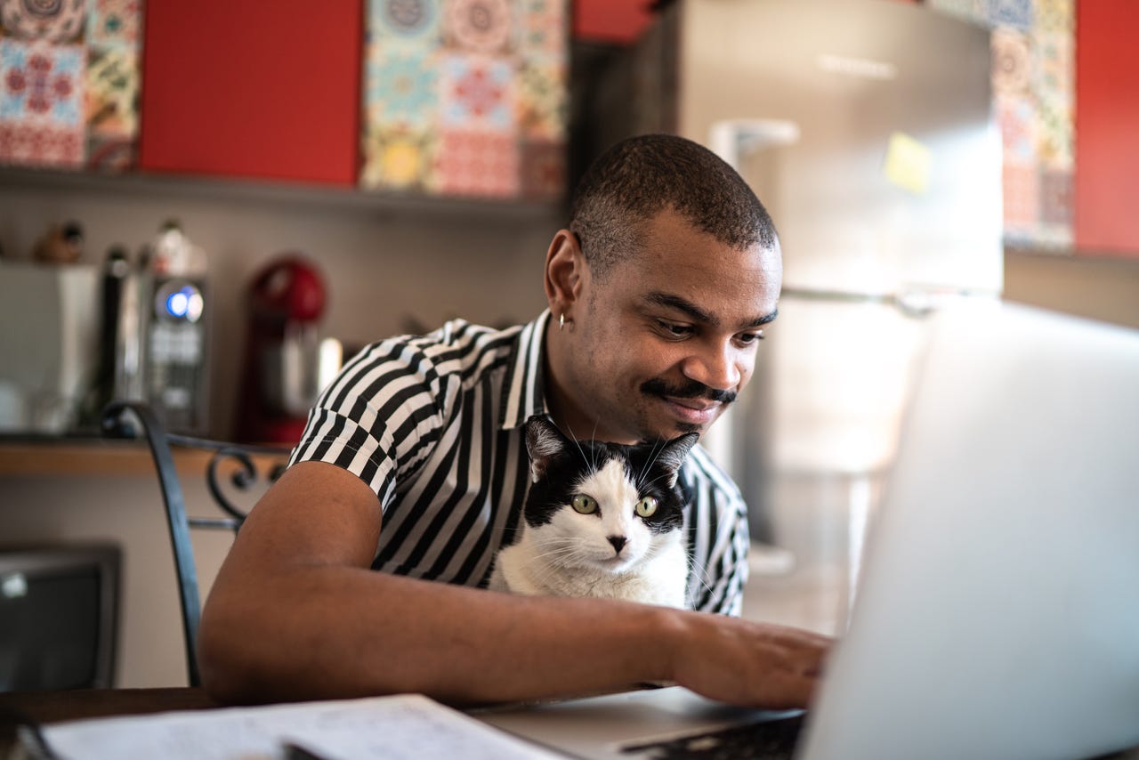 a-man-working-at-home-from-his-kitchen-with-his-cat-on-his-lap