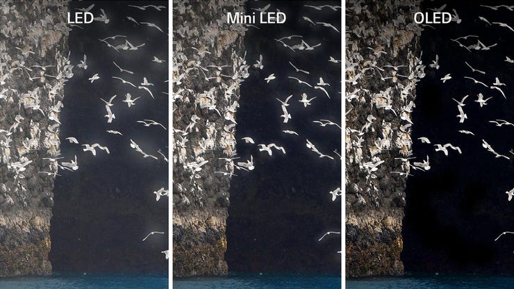 Mini LED vs OLED : Which Display Should You Choose?, Tech Review, OLED  SPACE